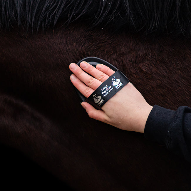 Equidocs Striegel für Pferde