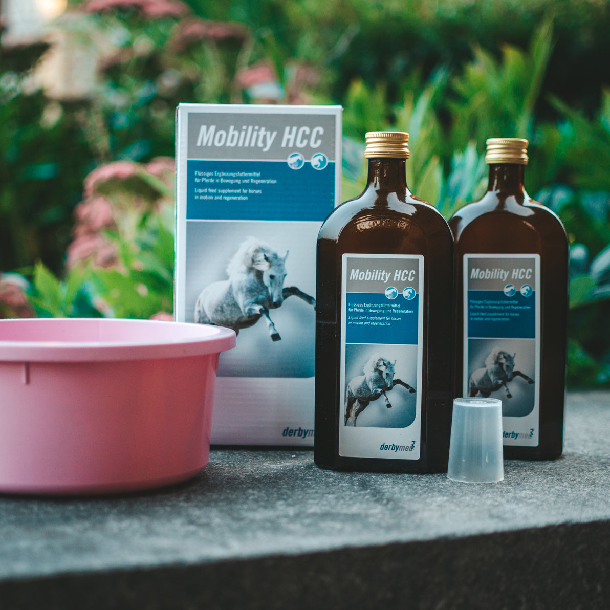 derbymed Mobility HCC 2x500ml