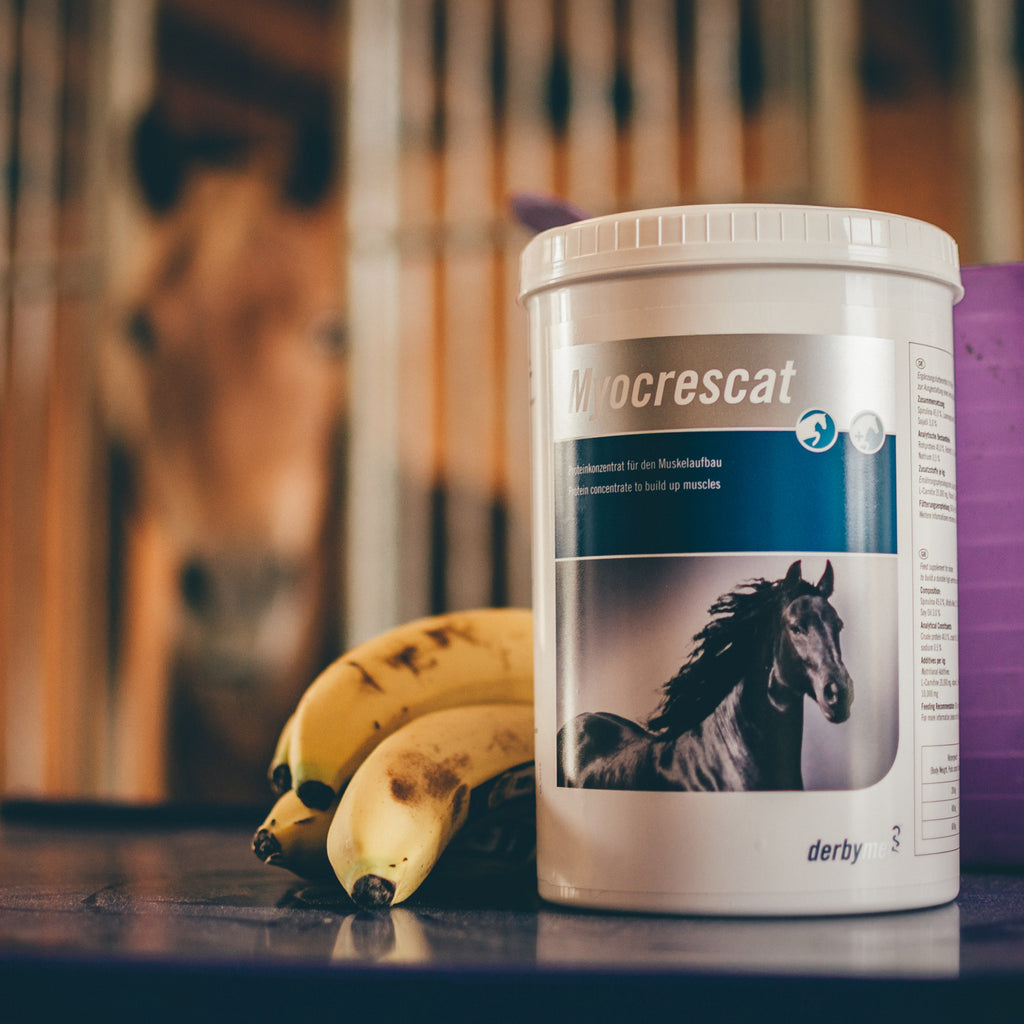 derbymed Myocrescat 1300g