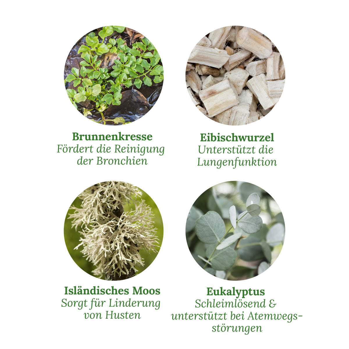 AniForte Bronchial Kräuter 1kg