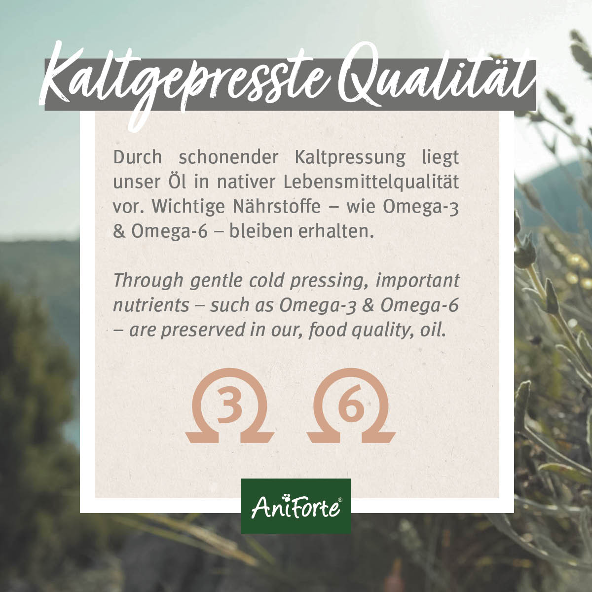 1700AFL – Bild 2