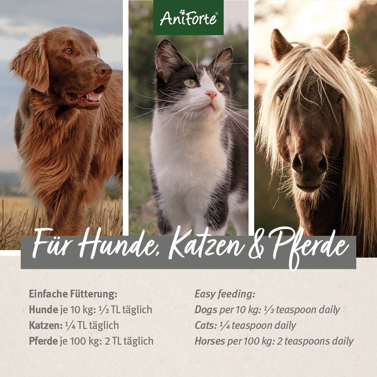 1700AFL – Bild 3