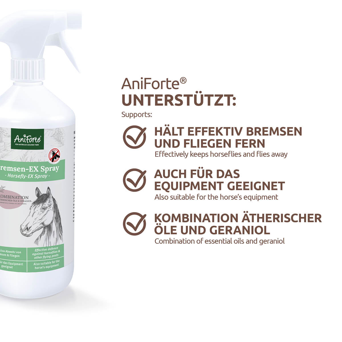 AniForte Bremsen Ex Spray 1000ml