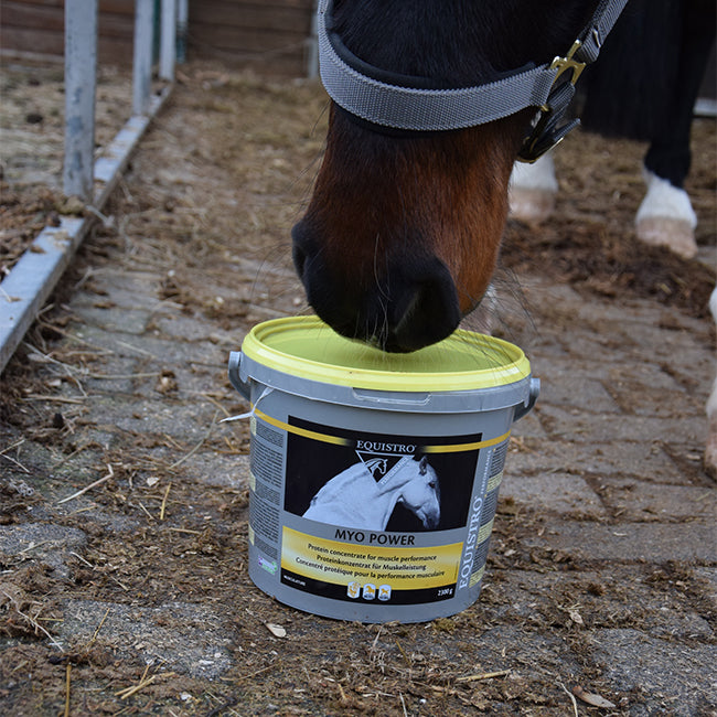 Equistro Myo Power 2300g