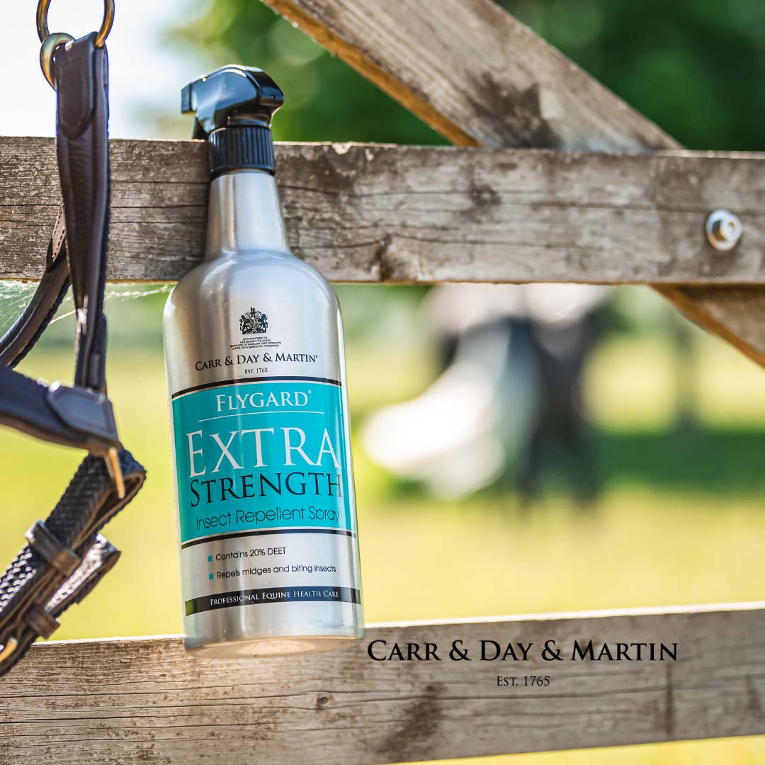 Carr & Day & Martin Flygard Extra Stark Insektenschutzspray 1000ml