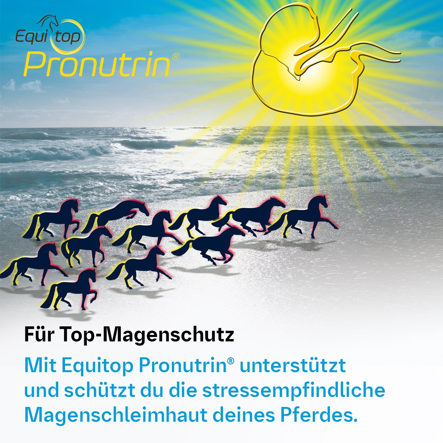 Equitop Pronutrin Pellets 3,5 kg