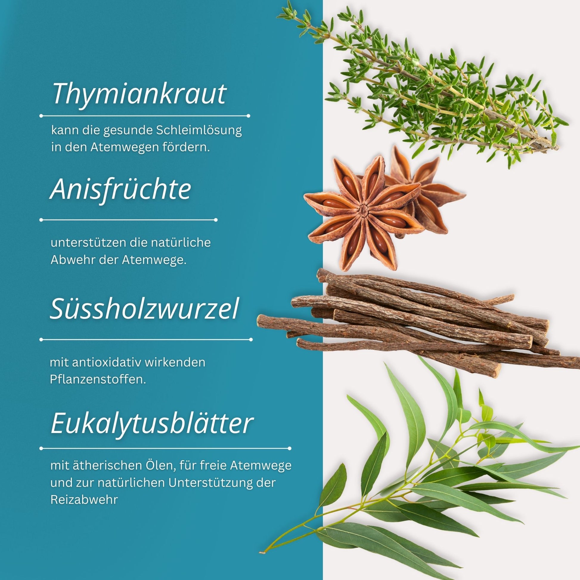 Equidocs Kräutermischung Atemgut 1000 g