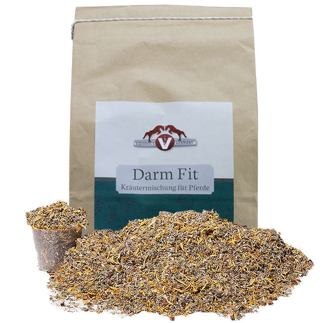 Equidocs Kräutermischung Darm Fit 1000 g