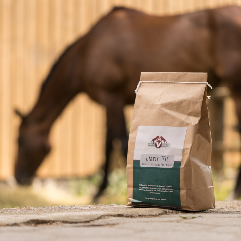 Equidocs Kräutermischung Darm Fit 1000 g