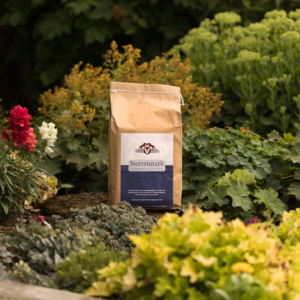 Equidocs Kräutermischung Nervenstark 1000 g