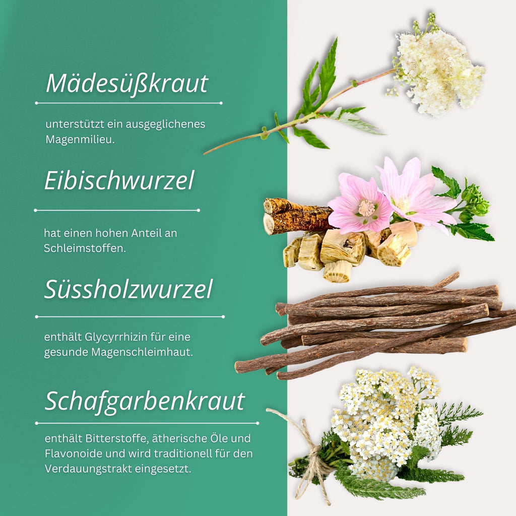 249EDM – Bild 30