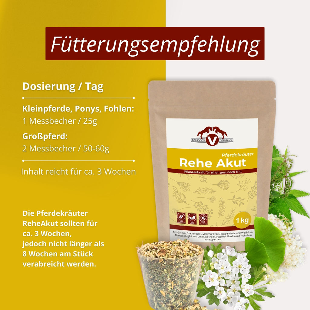 251EDR – Bild 3