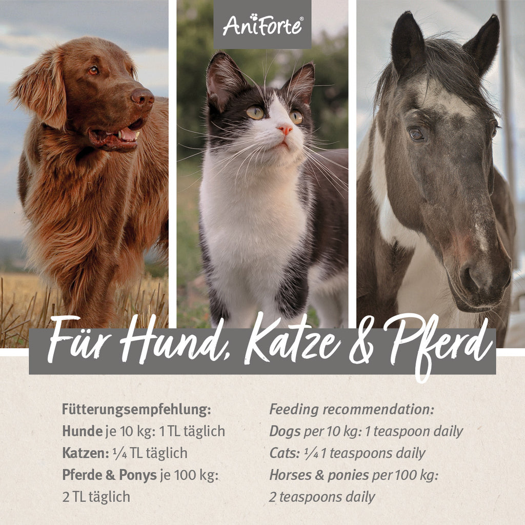 33168AFL – Bild 2