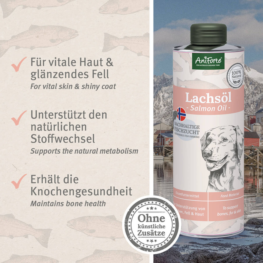 33212AFL – Bild 1