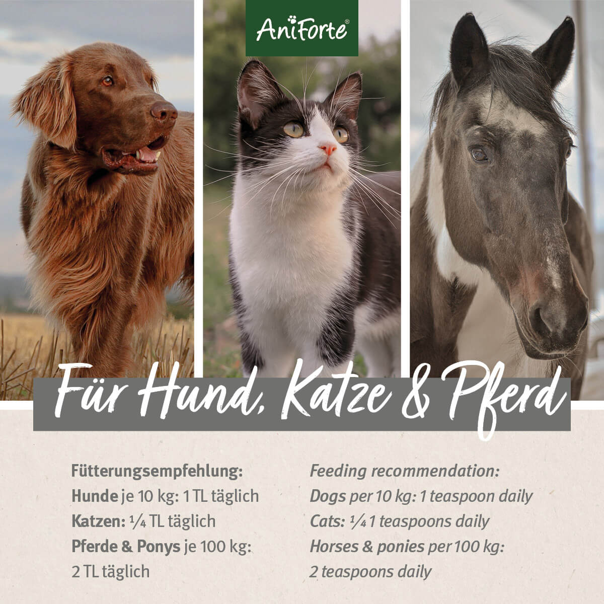 33212AFL – Bild 2