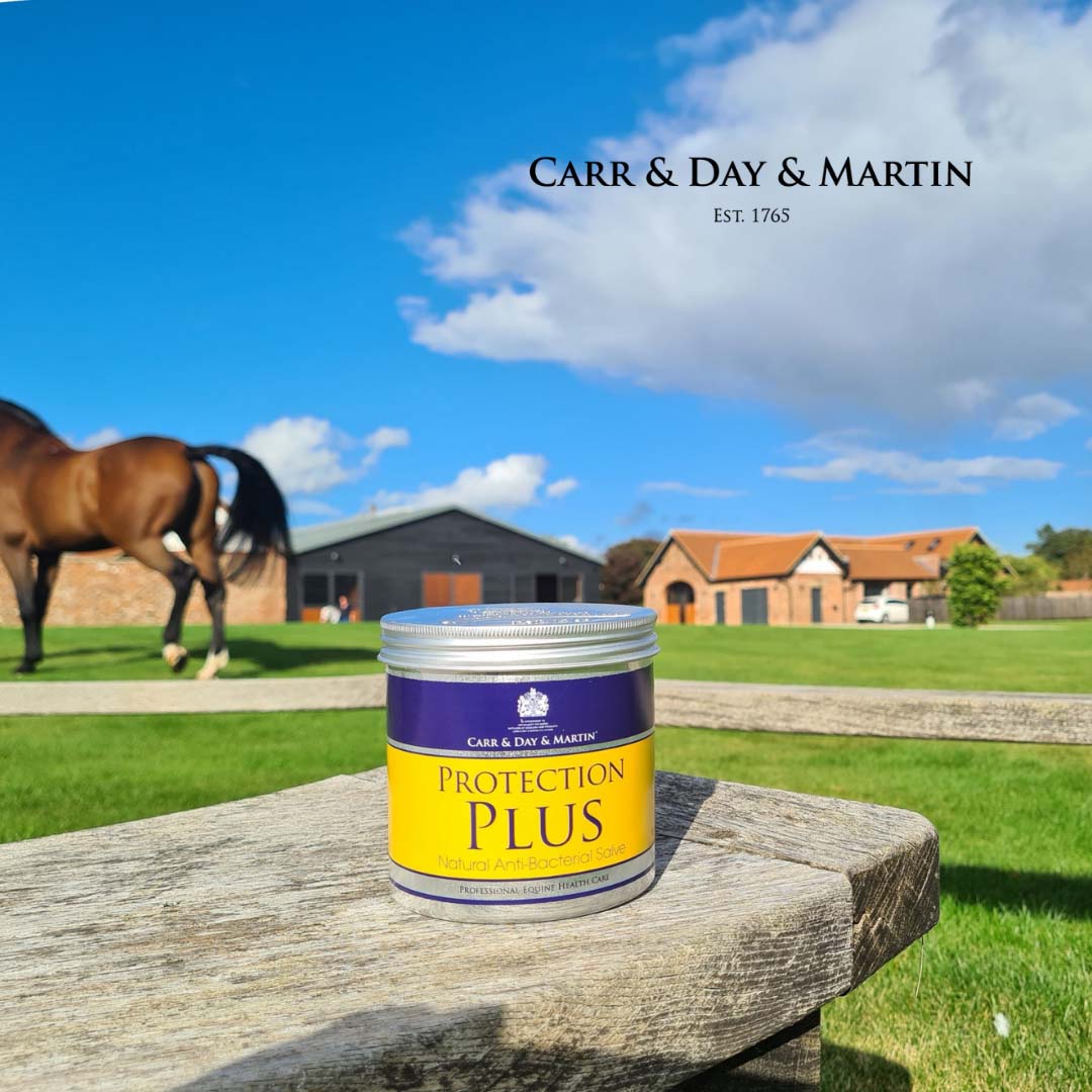 Carr & Day & Martin Protection Plus Salbe 500 ml