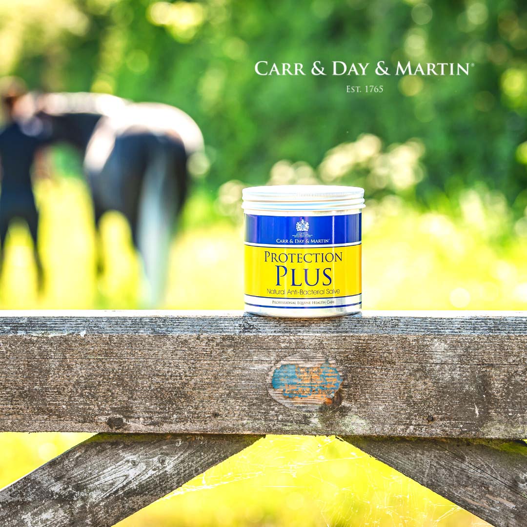 Carr & Day & Martin Protection Plus Salbe 500 ml