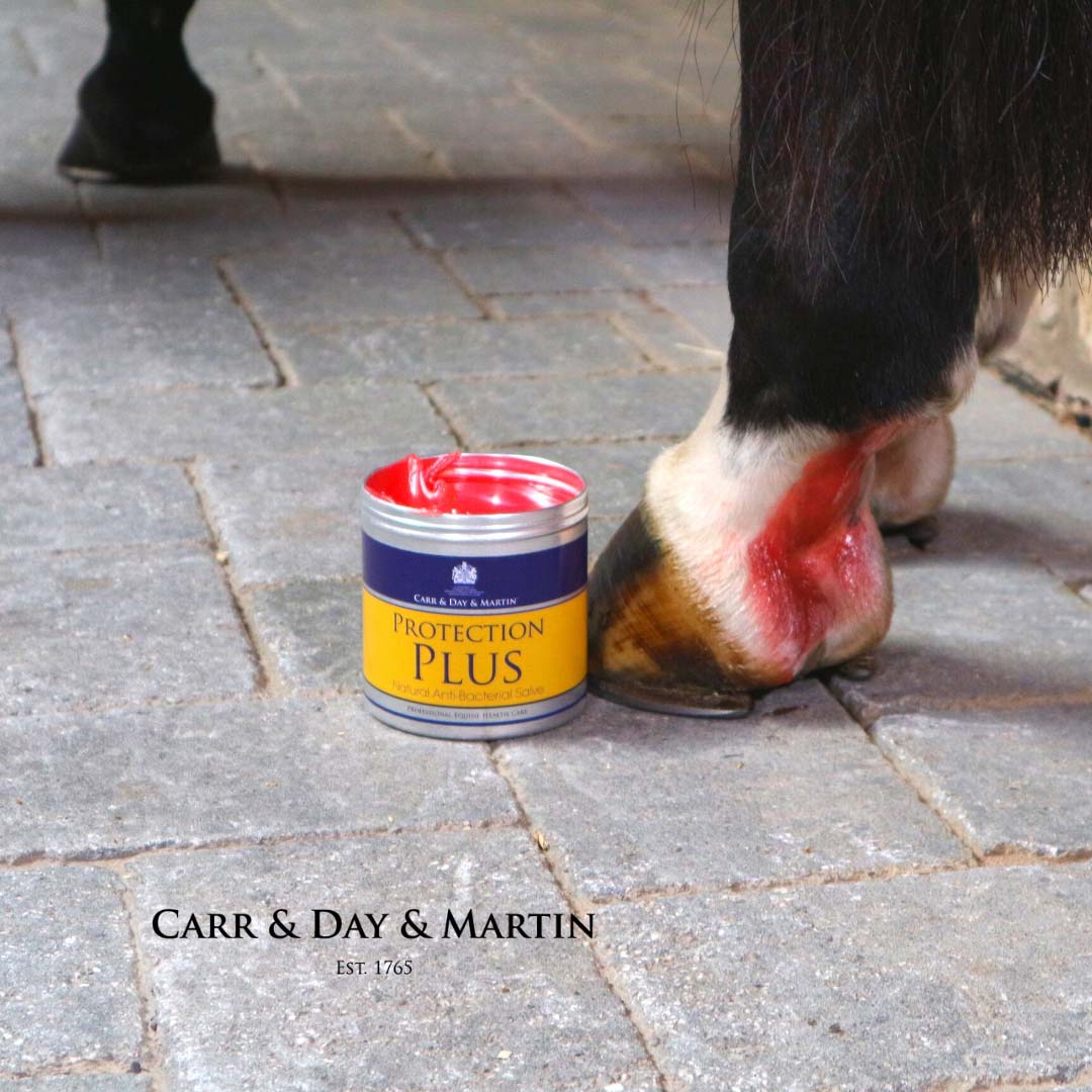 Carr & Day & Martin Protection Plus Salbe 500 ml