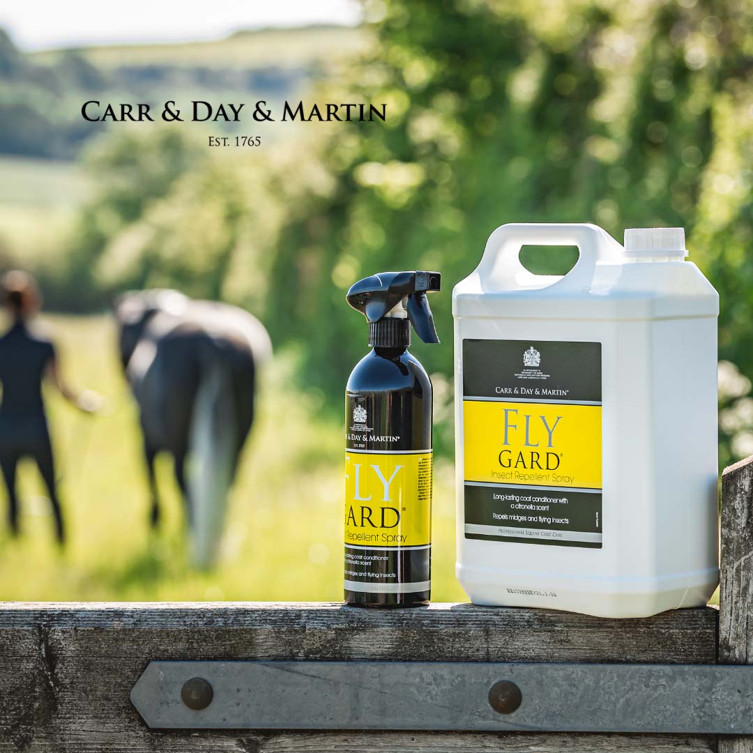 Carr & Day & Martin Flygard Fliegenschutz Spray extra stark 5000 ml
