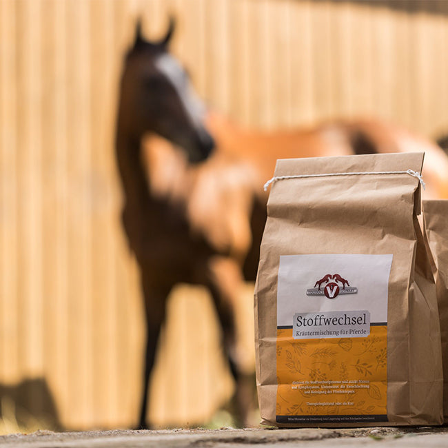 Equidocs Kräutermischung Stoffwechsel 1000 g