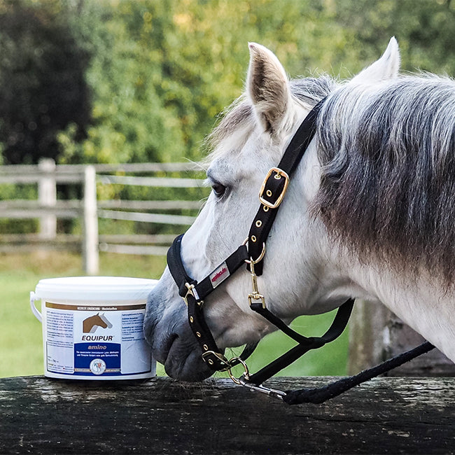 EQUIPUR amino 3000g