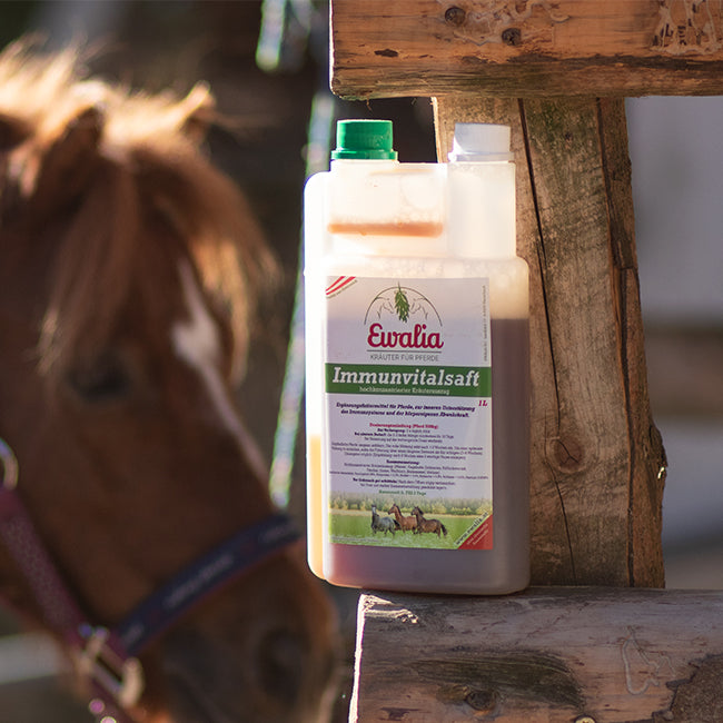 Ewalia Immunvitalsaft für Pferde 1000ml