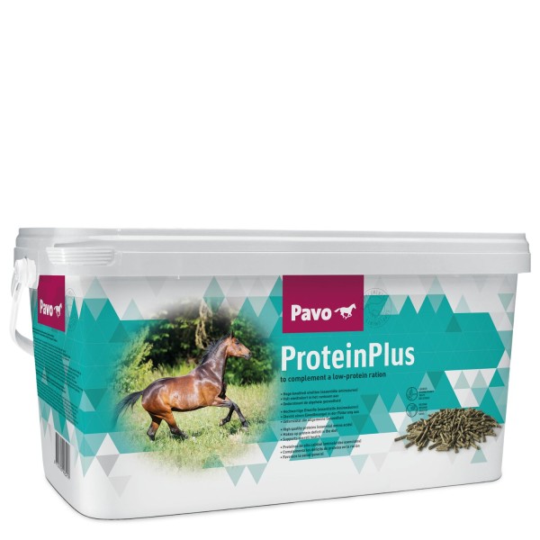 Pavo Protein Plus 7kg