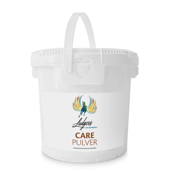 Ludgers Care Pulver 5,5 kg MHD 09.06.2024
